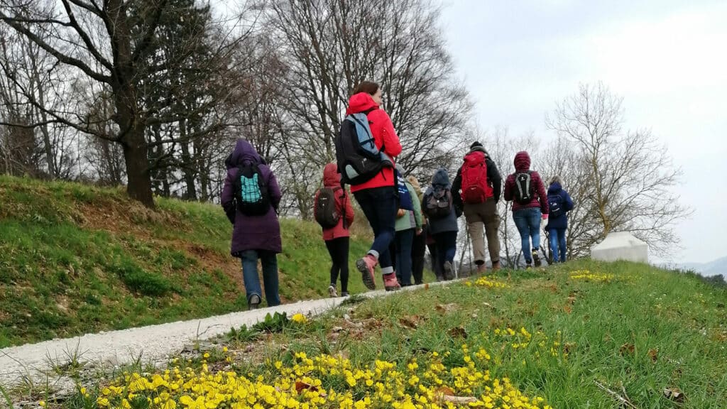 Blüten bei der Wildkräuterwanderung in Franken