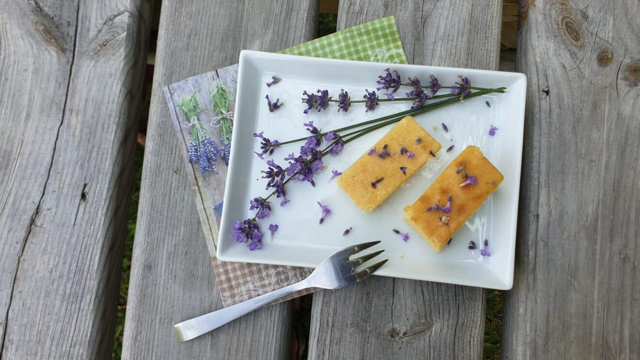 Ausbildungs-Exkursion: Besuch auf dem Wildkräuterhof in Oberickelsheim ... Ausbildungs-Exkursion: Besuch auf dem Wildkräuterhof in Oberickelsheim ...